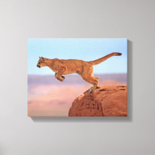 Mountain Lion Canvas Print