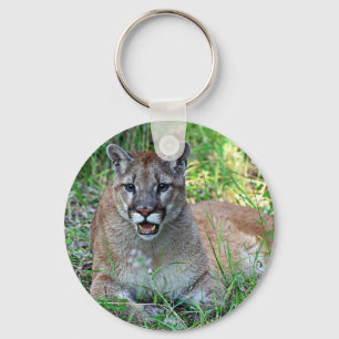 Mountain Lion Complaining Key Ring