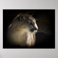 MOUNTAIN LION Cougar Big Cat Wildlife Poster