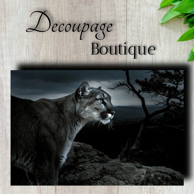Mountain Lion Decoupage Tissue Paper (Mountain Lion Decoupage Tissue Paper)