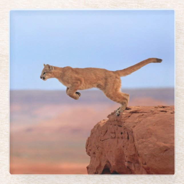Mountain Lion Glass Coaster (Front)