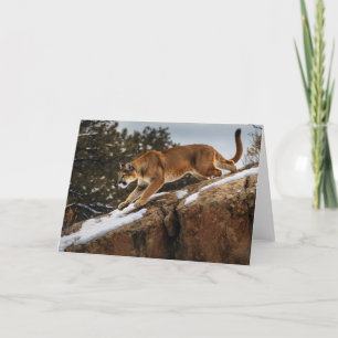 Mountain Lion Greeting Card