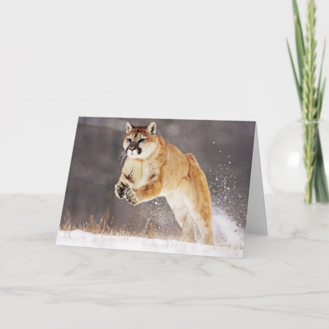 Mountain Lion Greeting Card (Front)