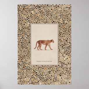 Mountain Lion Illustration Poster Walking Cougar