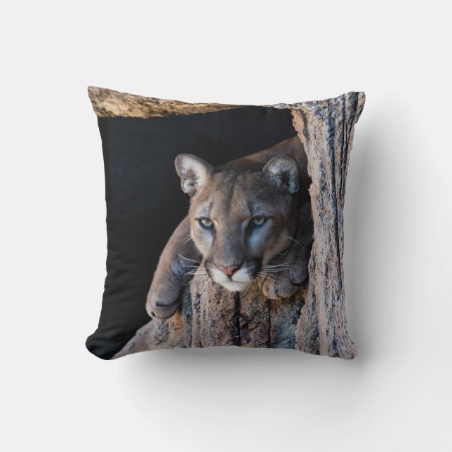 Mountain Lion in Cave Cushion (Front)