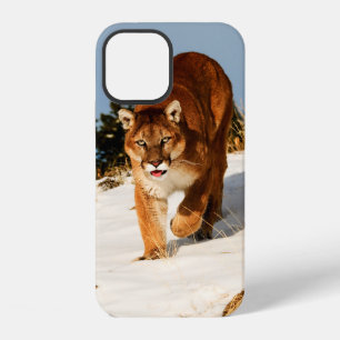 Mountain Lion on snowy hill iPhone 12 Case
