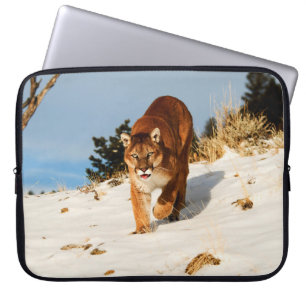 Mountain Lion on snowy hill Laptop Sleeve