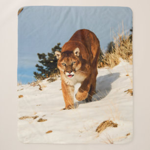 Mountain Lion on snowy hill Sherpa Blanket