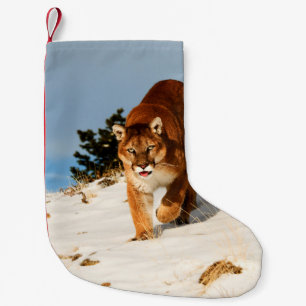 Mountain Lion on snowy hill Small Christmas Stocking