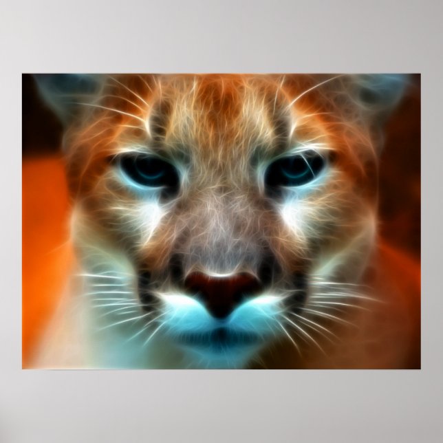 Mountain Lion Poster (Front)