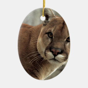 Mountain Lion Striking a Pose Ceramic Tree Decoration