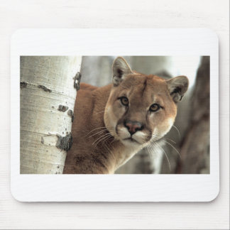 Mountain Lion Striking a Pose Mouse Pad