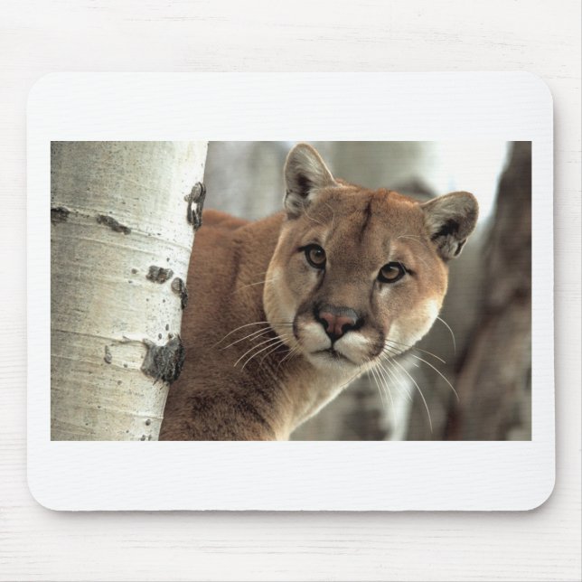 Mountain Lion Striking a Pose Mouse Pad (Front)