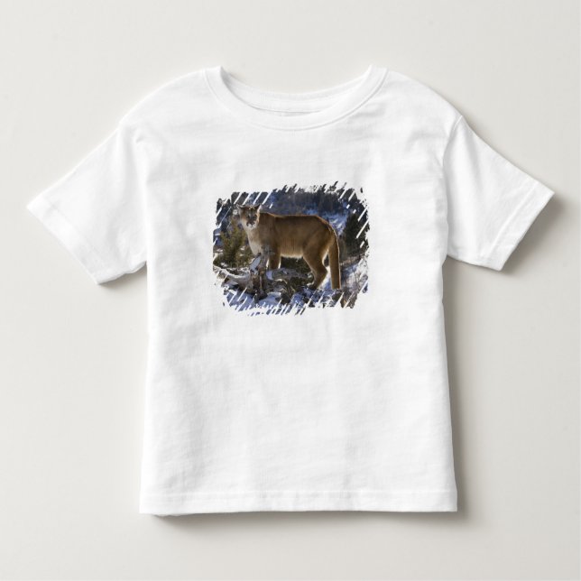 Mountain Lion Toddler T-Shirt (Front)