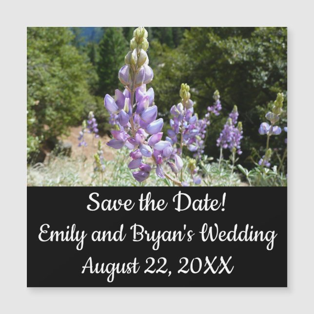 Mountain Lupins at Yosemite (Front)