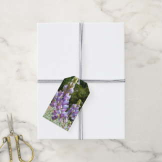 Mountain Lupins at Yosemite Gift Tags