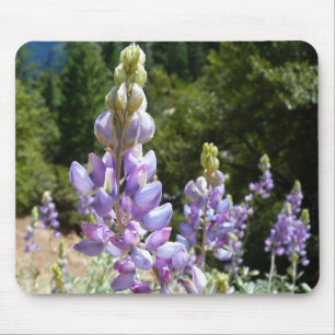 Mountain Lupins at Yosemite Mouse Pad
