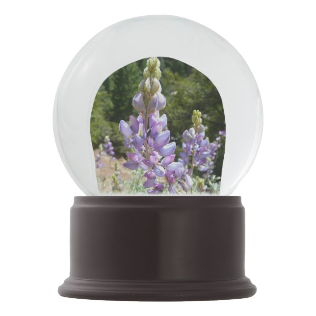 Mountain Lupins at Yosemite Snow Globe (Front)