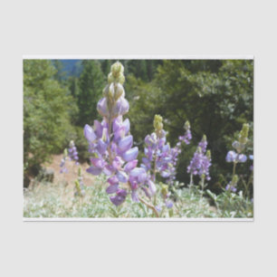 Mountain Lupins at Yosemite Tissue Paper