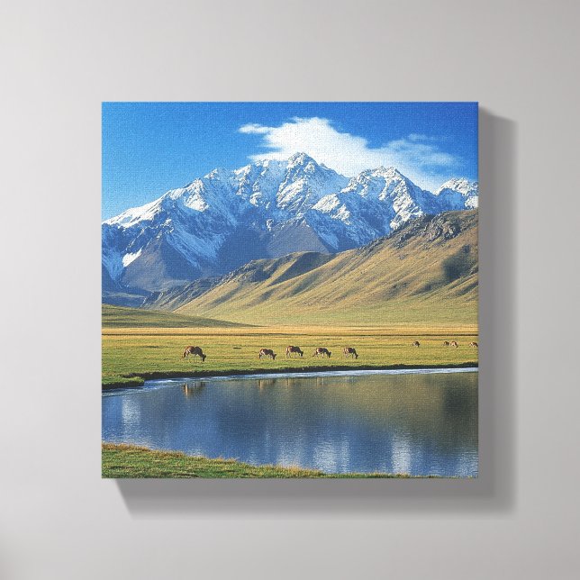 Mountain Meadow Canvas Print (Front)