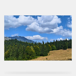 Mountain Meadow Landscape - Wild Nature Romania Acrylic Sign
