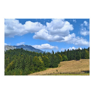 Mountain Meadow Landscape - Wild Nature Romania Photo Print