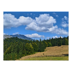 Mountain Meadow Landscape - Wild Nature Romania Poster