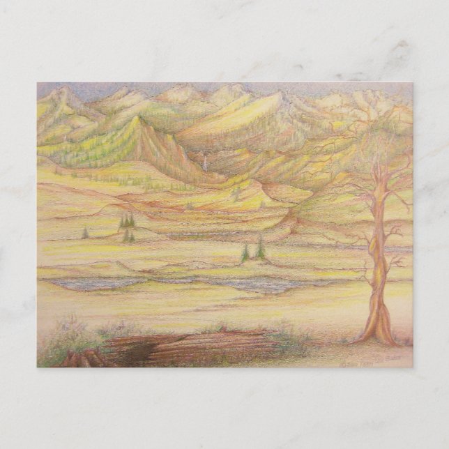 Mountain Meadow Postcard (Front)