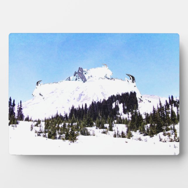 Mountain of Goats Plaque (Front)