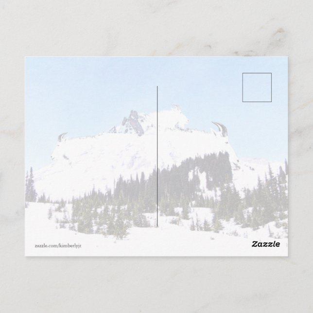 Mountain of Goats Postcard (Back)