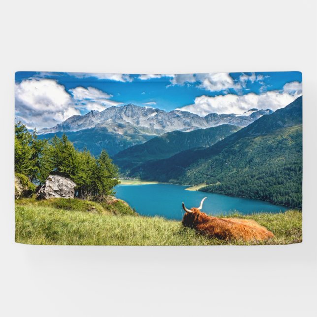 Mountain Pasture Highlands Cow Banner (Horizontal)
