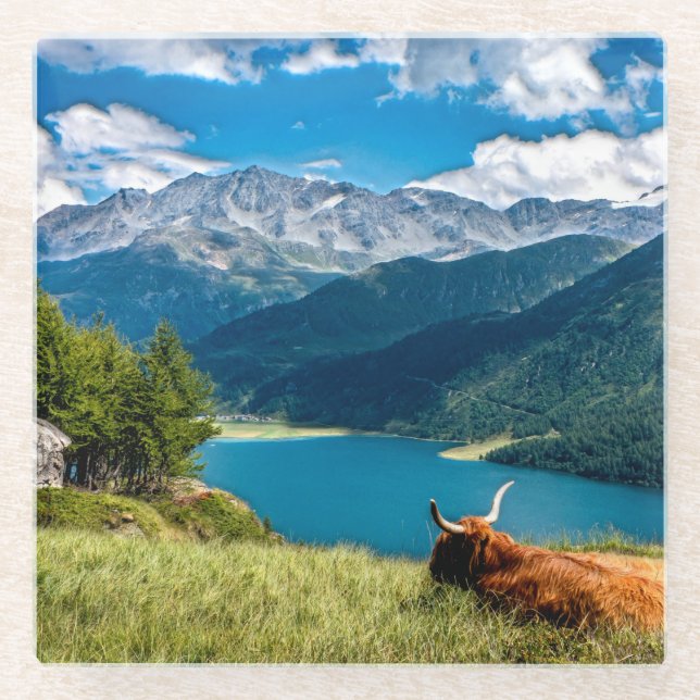 Mountain Pasture Highlands Cow Glass Coaster (Front)