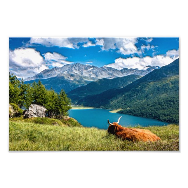 Mountain Pasture Highlands Cow Photo Print (Front)