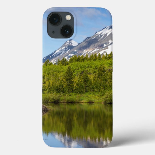 Mountain Peaks Reflect Into A Beaver Pond Case-Mate iPhone Case (Back)