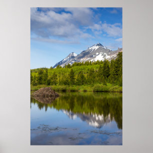 Mountain Peaks Reflect Into A Beaver Pond Poster