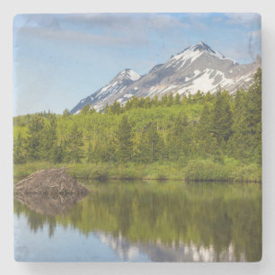 Mountain Peaks Reflect Into A Beaver Pond Stone Coaster