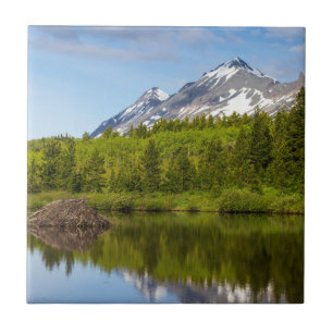 Mountain Peaks Reflect Into A Beaver Pond Tile