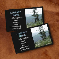 mountain pine trees nature landscape photography