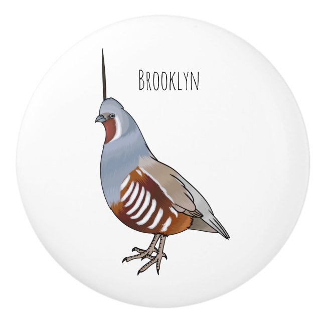 Mountain quail bird cartoon illustration  ceramic knob (Front)
