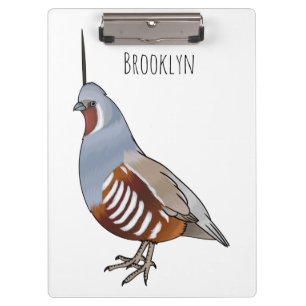 Mountain quail bird cartoon illustration  clipboard