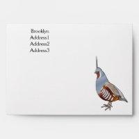 Mountain quail bird cartoon illustration