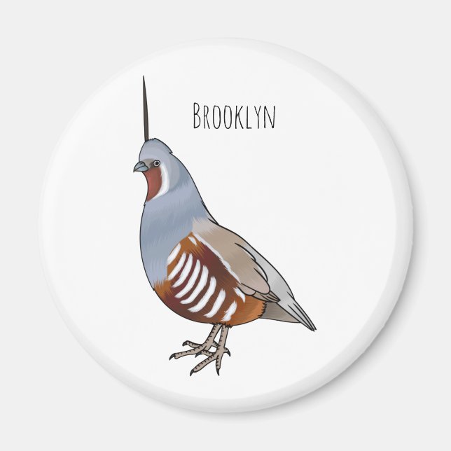 Mountain quail bird cartoon illustration  magnet (Front)