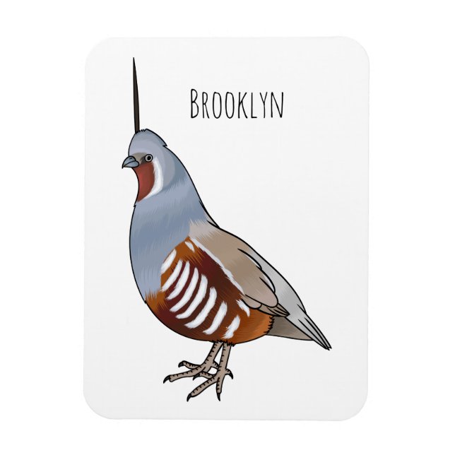 Mountain quail bird cartoon illustration  magnet (Vertical)