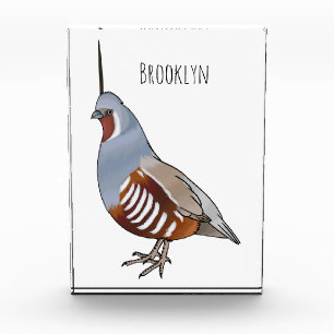 Mountain quail bird cartoon illustration photo block
