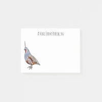 Mountain quail bird cartoon illustration