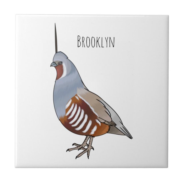 Mountain quail bird cartoon illustration tile (Front)