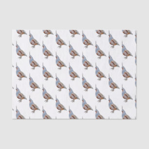 Mountain quail bird cartoon illustration tissue paper