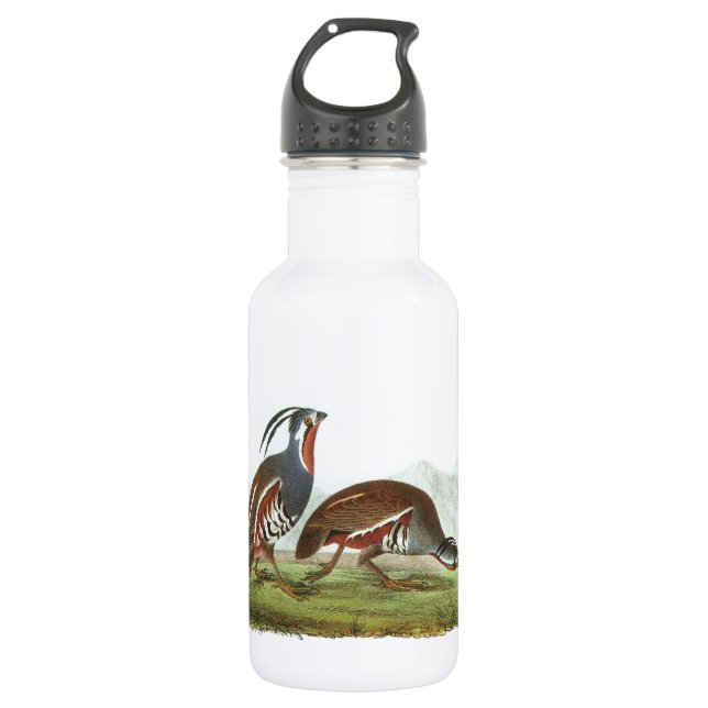Mountain Quail by Audubon 532 Ml Water Bottle (Front)