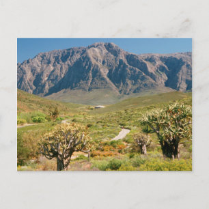 Mountain Range, Worcester Nature Reserve Postcard