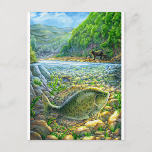 Mountain River Fish Postcard
